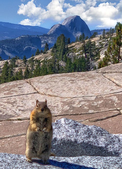 Olmsted Point - Blackberry Inn Yosemite