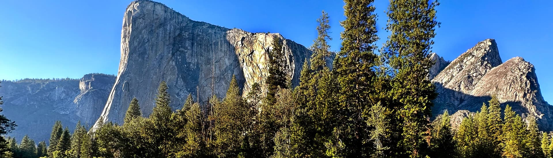 The image displays a stunning panoramic view of El Capitan, a towering granite cliff in Yosemite National Park, with lush green trees in the foreground and clear, bright blue skies above.