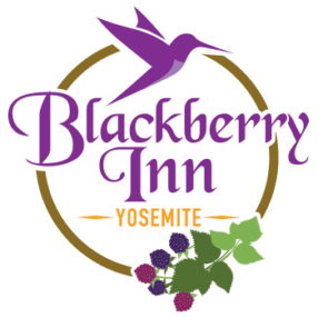 Blackberry Inn Logo