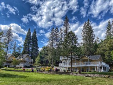 Two yellow two story buildings in forest setting